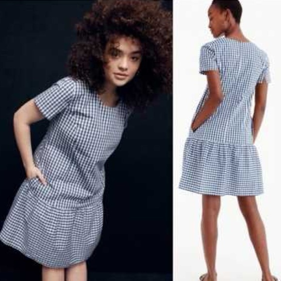 Universal Standard for J Crew Poplin Drop Waist Dress Gingham Blue White - Picture 1 of 9